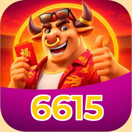 6615 Installation