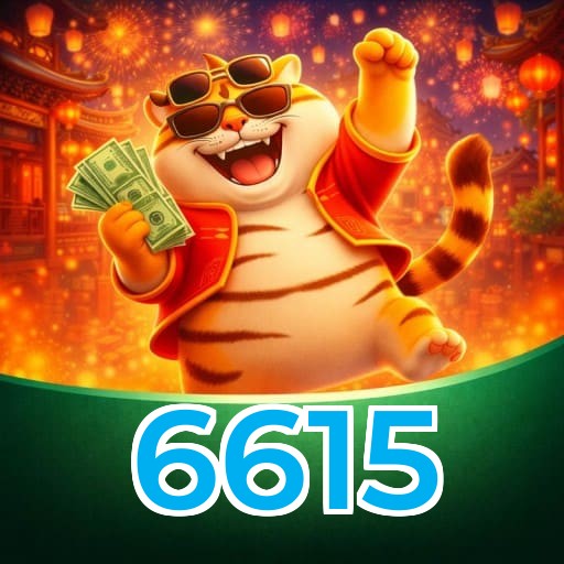6615 Premium Service